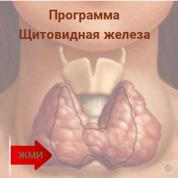 Программа щитовидная железа